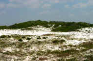 Destin Florida Beaches