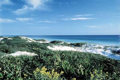 Destin Florida Beaches